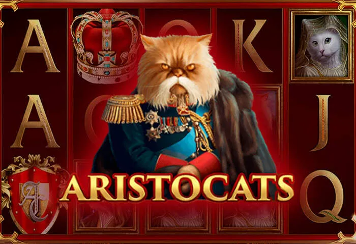 Consejos y bonos exclusivos de Koning Online Casino: tu guía completa.