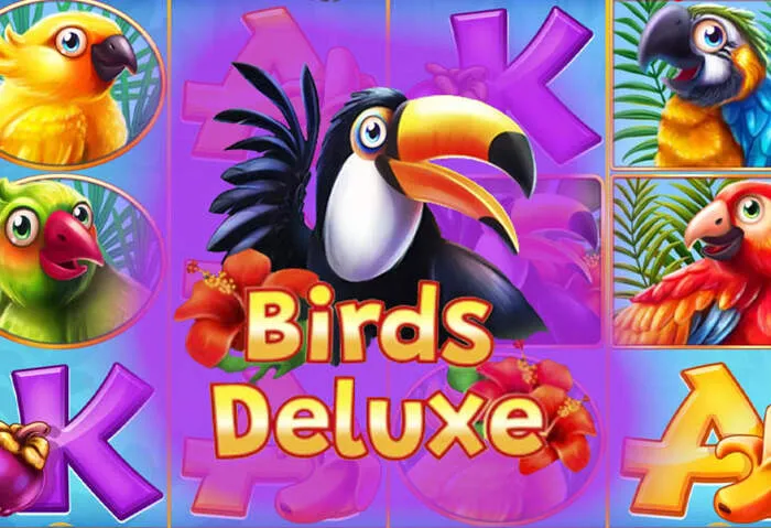 Application mobile Koning Casino Méthodes de Paiement rapide.